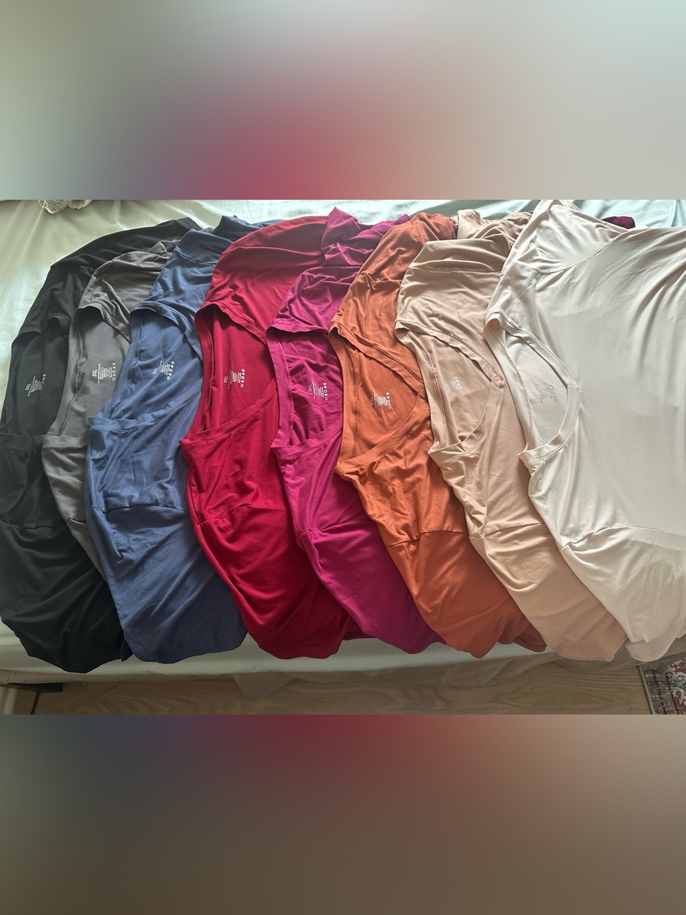 Showitty top bundle